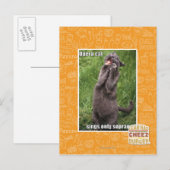 Opera Cat Postkarte (Vorne/Hinten)