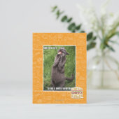 Opera Cat Postkarte (Stehend Vorderseite)