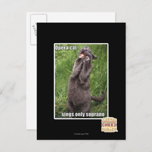 Opera Cat Postkarte (Vorne/Hinten)