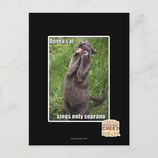 Opera Cat Postkarte (Vorderseite)