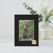 Opera Cat Postkarte (Stehend Vorderseite)