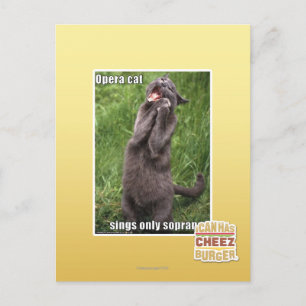 Opera Cat Postkarte