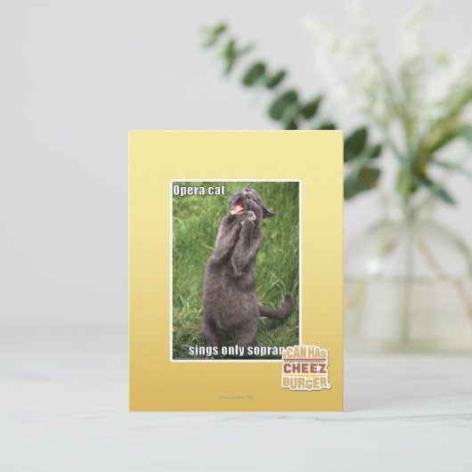 Opera Cat Postkarte (Stehend Vorderseite)