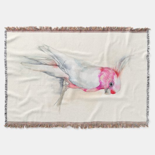 Opera Cockatoo Decke (Vorderseite)