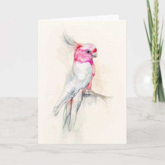 Opera Cockatoo Karte (Vorderseite)