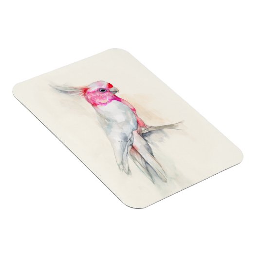 Opera Cockatoo Magnet (Rechte Seite)