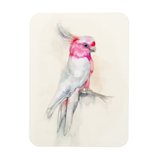 Opera Cockatoo Magnet (Vertikal)