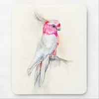 Opera Cockatoo