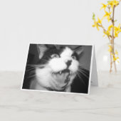 Opera Kitty Geburtstagskarte Karte (Gelbe Blume)