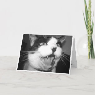 Opera Kitty Geburtstagskarte Karte