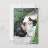 Opera Phantom Cat (Vorderseite)