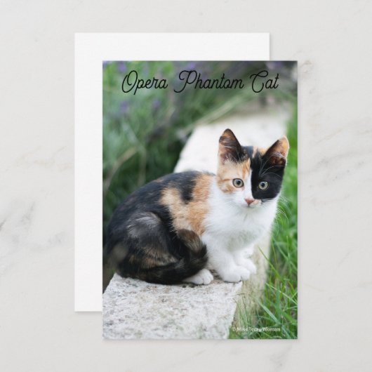 Opera Phantom Cat (Vorne/Hinten)