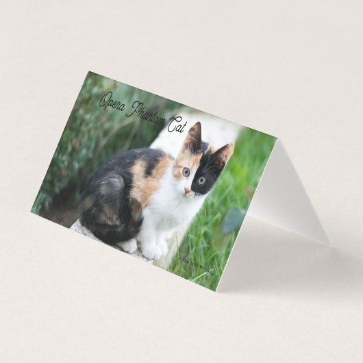 Opera Phantom Cat (Vorderseite)