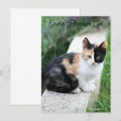 Opera Phantom Cat (Vorne/Hinten)
