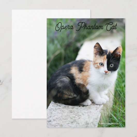 Opera Phantom Cat (Vorne/Hinten)