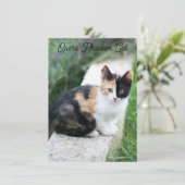 Opera Phantom Cat (Stehend Vorderseite)