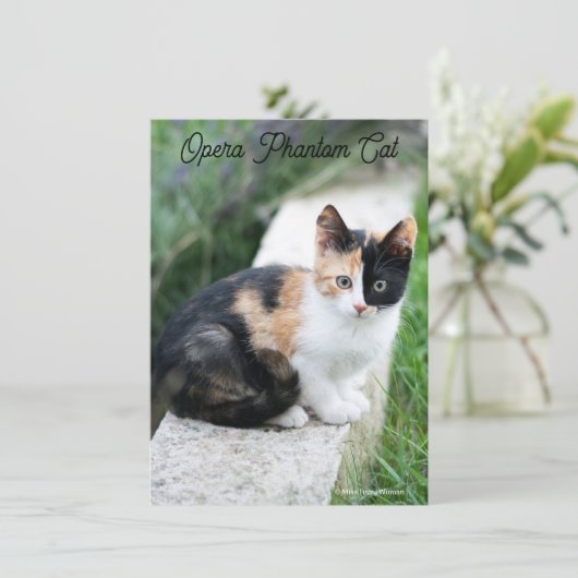 Opera Phantom Cat (Stehend Vorderseite)
