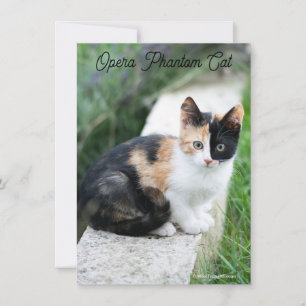 Opera Phantom Cat