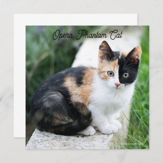 Opera Phantom Cat (Vorne/Hinten)