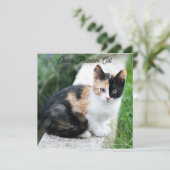 Opera Phantom Cat (Stehend Vorderseite)