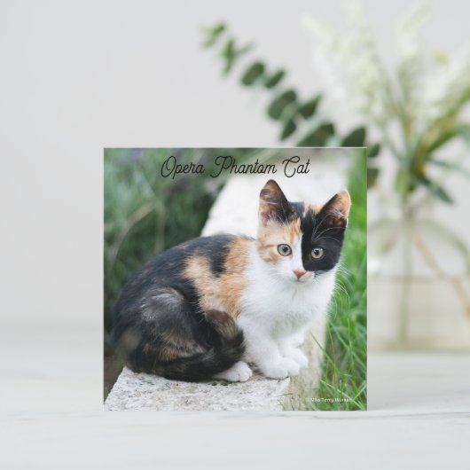 Opera Phantom Cat (Stehend Vorderseite)