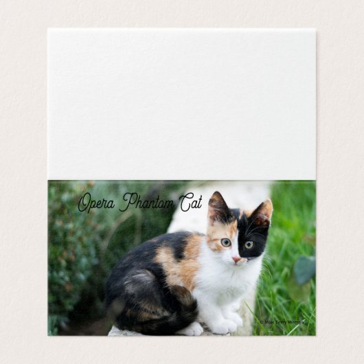 Opera Phantom Cat (Außenseite Aufgefaltet)