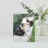 Opera Phantom Cat (Stehend Vorderseite)