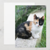 Opera Phantom Cat (Vorne/Hinten)