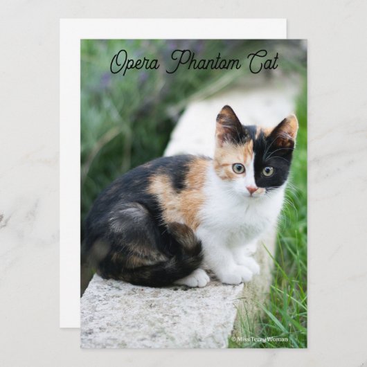 Opera Phantom Cat (Vorne/Hinten)