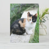 Opera Phantom Cat (Stehend Vorderseite)