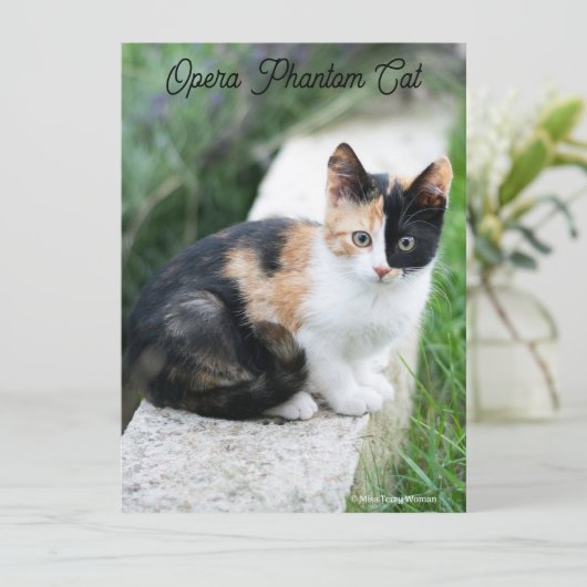 Opera Phantom Cat (Stehend Vorderseite)