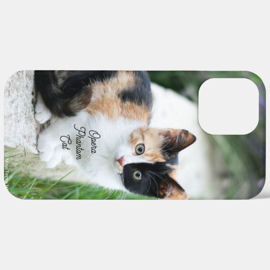 Opera Phantom Cat Case-Mate iPhone Hülle (Hinten (horizontal))