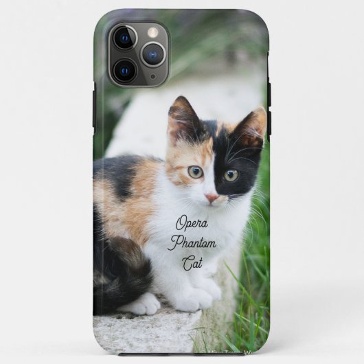 Opera Phantom Cat Case-Mate iPhone Hülle (Rückseite)