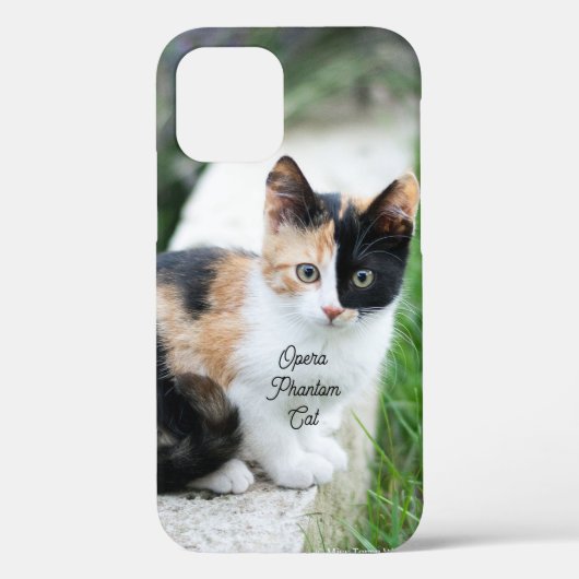 Opera Phantom Cat Case-Mate iPhone Hülle (Rückseite)