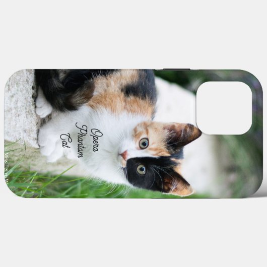 Opera Phantom Cat Case-Mate iPhone Hülle (Rückseite (Horizontal))
