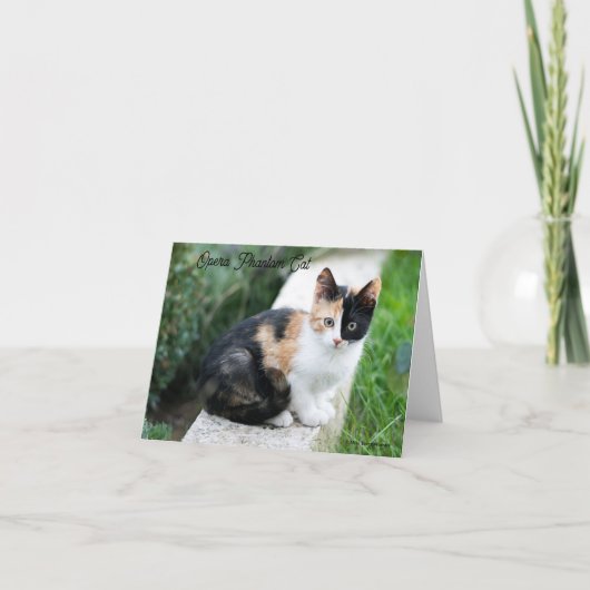 Opera Phantom Cat Einladung (Vorderseite)