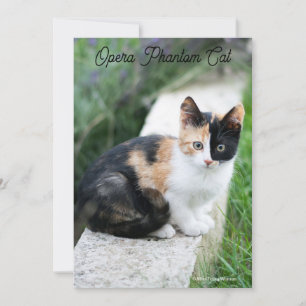 Opera Phantom Cat Feiertagskarte