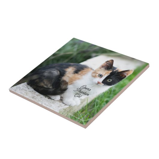 Opera Phantom Cat Fliese (Seite)