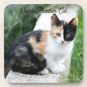 Opera Phantom Cat Getränkeuntersetzer