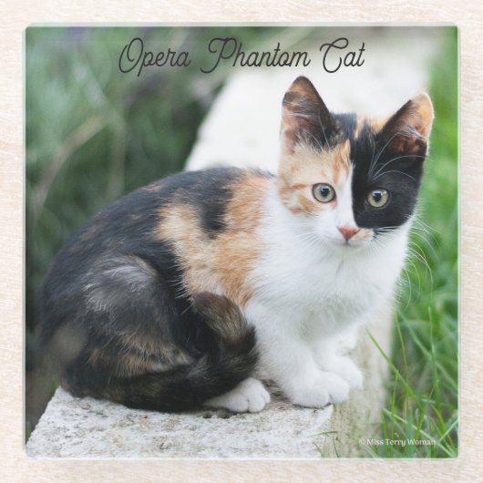 Opera Phantom Cat Glasuntersetzer (Vorderseite)
