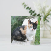 Opera Phantom Cat Karte (Stehend Vorderseite)