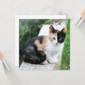 Opera Phantom Cat Karte (Vorderseite/Rückseite Beispiel)