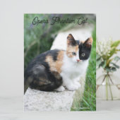 Opera Phantom Cat Karte (Stehend Vorderseite)
