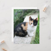Opera Phantom Cat Karte (Vorderseite/Rückseite Beispiel)