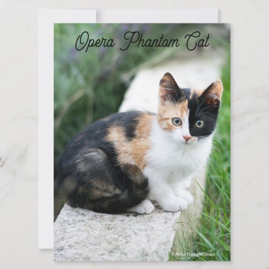 Opera Phantom Cat Karte (Vorderseite)