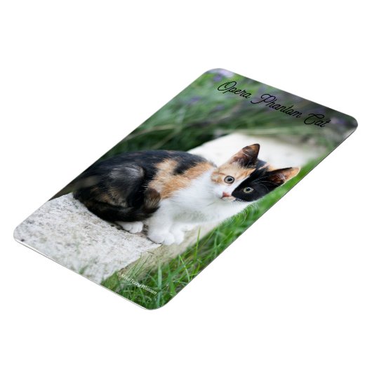 Opera Phantom Cat Magnet (Linke Seite)