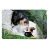 Opera Phantom Cat Magnet (Horizontal)