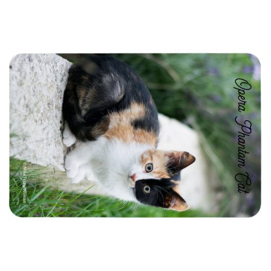Opera Phantom Cat Magnet (Horizontal)
