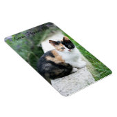 Opera Phantom Cat Magnet (Rechte Seite)