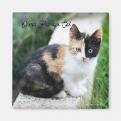 Opera Phantom Cat Magnet (Vorne)